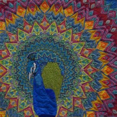 Christine-Naumann-Truly-proud-to-be-a-peacock-Mittel