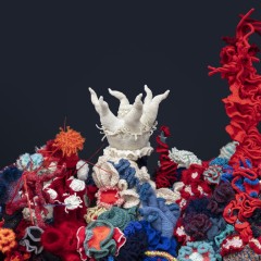 Detail of Baden-Baden Satellite Reef, part of the worldwide Crochet Coral Reef project by Christine and Margaret Wertheim and the Institute For Figuring