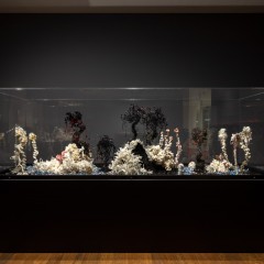Toxic reef, Museum Frieder Burda